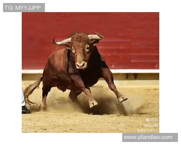 公牛精神与力量的象征：探索公牛在各文化中的深刻意义与影响